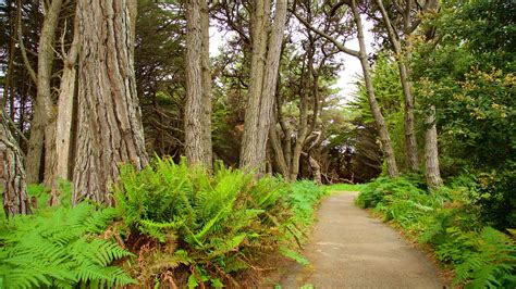 Mendocino Coast Botanical Gardens in Fort Bragg, California | Expedia