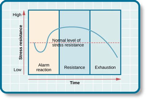 Stages Of General Adaptation Syndrome