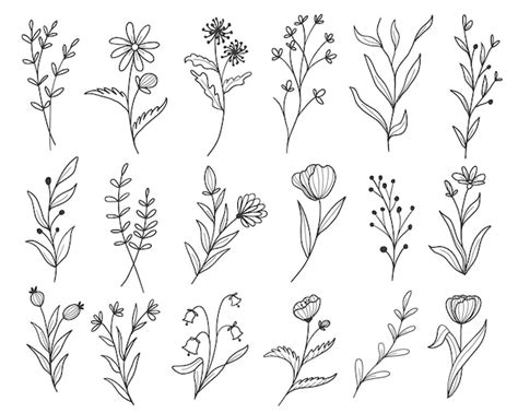 Simple Line Drawings Of Flowers