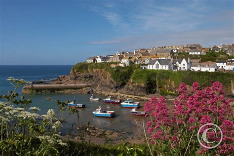 Port Isaac Through Red Valerian | Port Isaac | Cornwall | Photography By Martin Eager | Runic Design