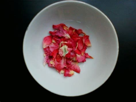 Rose Petal Tea Recipe and Benefits of Rose Petal Tea | Tea recipes ...