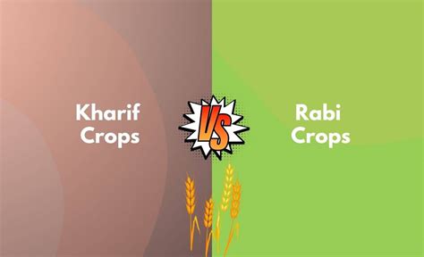 Rabi Crops And Kharif Crops