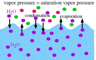 Illustration of Saturation Vapor Pressure