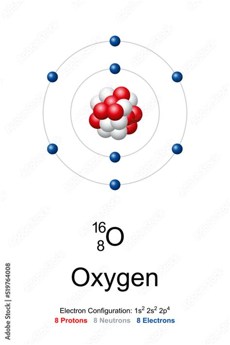 Oxygen, atom model. Chemical element with symbol O and with atomic ...