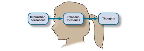 What Is Cognition? | Introduction to Psychology