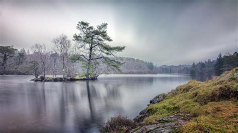 Tarn Hows | Lake District Offers