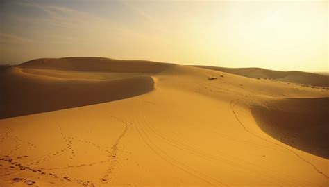 What Are Four Nonliving Things in a Desert Ecosystem? | Sciencing