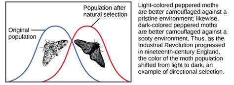 Adaptive Evolution | Biology for Non-Majors II