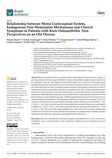 (PDF) Relationship between Motor Corticospinal System, Endogenous Pain ...