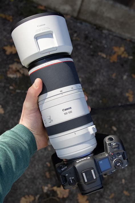 Canon RF100-500 F4.5-7.1 L Lens Review: The Wildlife Photographer’s Pro ...