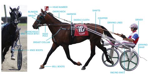 Pennsylvania Horse Racing — Harness Racing