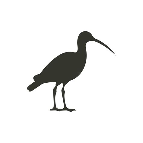 Ibis bird Icon on White Background - Simple Vector Illustration ...