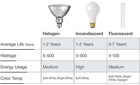 Best Kitchen Light Bulb Types 2023 - AtOnce