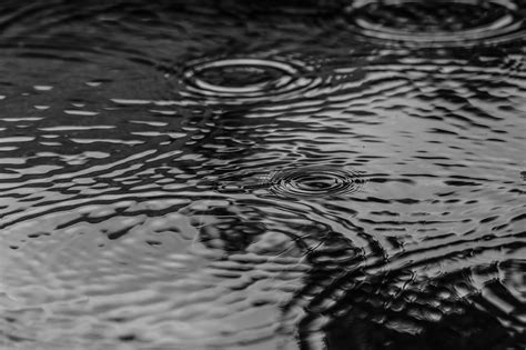 Puddle Water Rain - Free photo on Pixabay