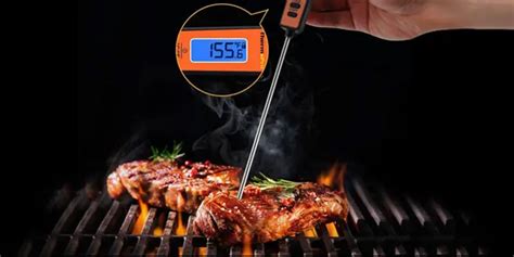 Top 5 Best Digital Grill Thermometers [June 2024]