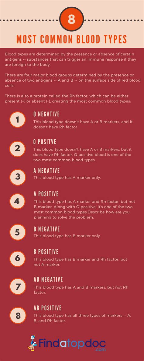 Different Blood Types and What They Mean