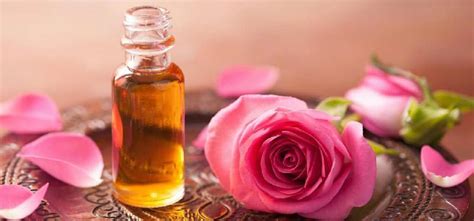 Common rose oil, for Cosmetics, Certification : CE Certified ISO 9001: ...