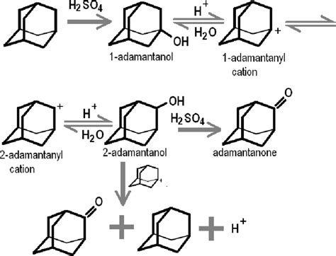 15. Oxidation of adamantane to adamantanone in concentrated H 2 SO 4 ...