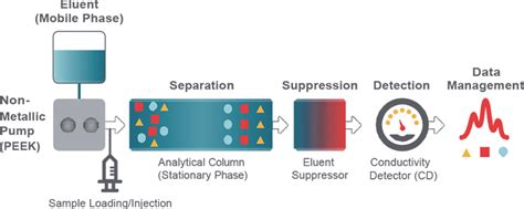 Ion Chromatography Market 2021 Size, Status and Industry Outlook ...