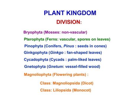 Plant taxonomy