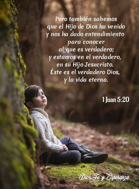 Descubrir 31+ imagen esperanza frases de la biblia - Abzlocal.mx