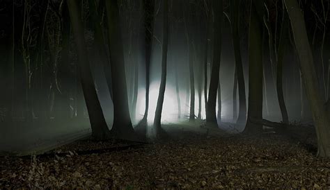 134 Background Hutan Malam Hd For FREE - MyWeb