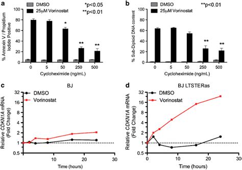 Vorinostat-mediated apoptosis requires de novo protein synthesis. (a,... | Download Scientific ...