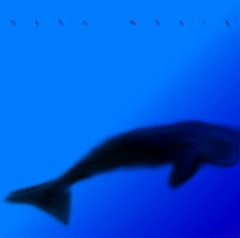 52Hz Whale | 52Hz Whale