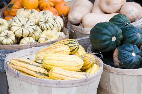 15 Winter Squash and Pumpkins Varieties