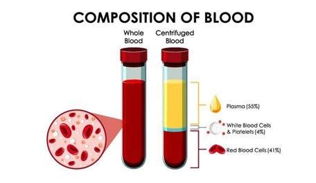 What are the applications and purposes of donated plasma? | by ...