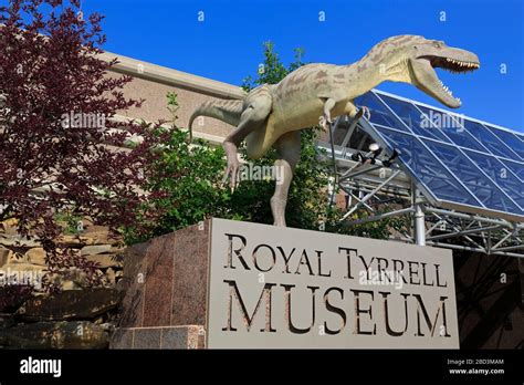 Royal Tyrrell Museum, Dinosaur in Drumheller, Alberta, Canada Stock Photo - Alamy