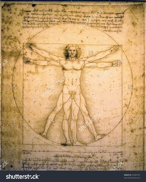 Leonardo Da Vinci Vitruvian Man Drawing