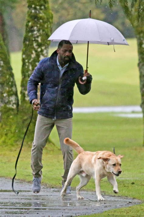 Idris Elba on the set of 'The Mountain Between Us' with a dog