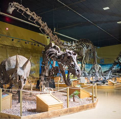 Wyoming Dinosaur Center (Thermopolis) - All You Need to Know BEFORE You Go