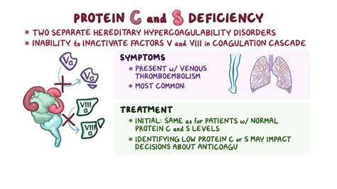 Protein C and Protein S Deficiency | Protein c, Coagulation cascade, Health and wellness