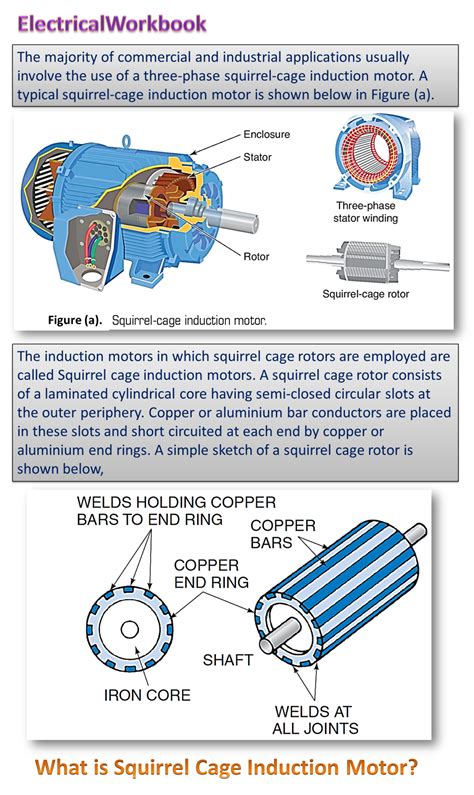 What is Squirrel Cage Induction Motor? Working Principle, Construction, Diagram, Applications ...