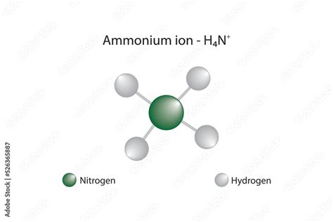 Molecular formula and chemical structure of ammonium ion Stock Vector ...