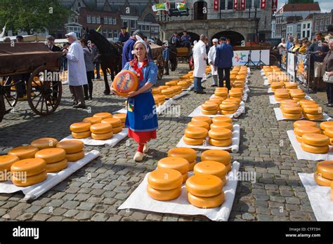 Gouda cheese market Netherlands Stock Photo: 49507349 - Alamy