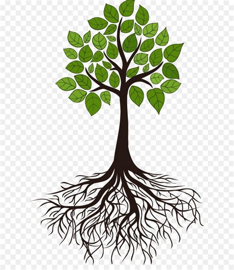 tree roots clip art 10 free Cliparts | Download images on Clipground 2024