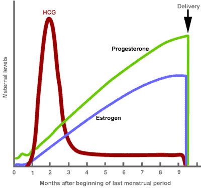 The First Oral Treatment for Postpartum Depression is Finally Here ...