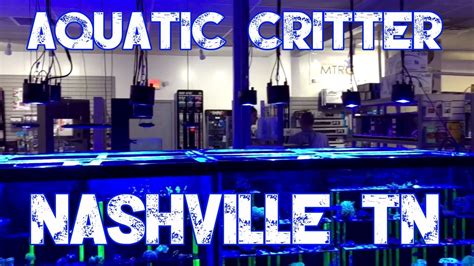 Red Sea Reefer 250 | Aquatic Critter Nashville TN | NEW ADDITIONS - YouTube