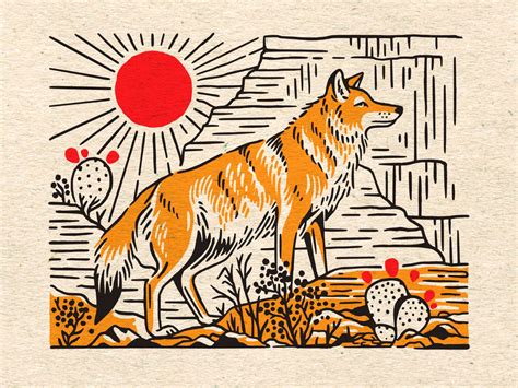 Coyote by Cristina Moore on Dribbble