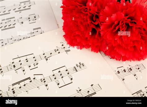 Carnation and notes on paper, a Spanish music background Stock Photo - Alamy