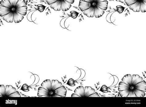 vintage floral border in pencil drawing flower decorations, black and white floral frame design ...