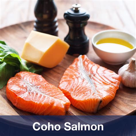 Coho Salmon – The Fishin' Co.