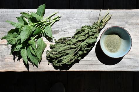 How To Make Nettle Leaf Powder & Why You Really Should