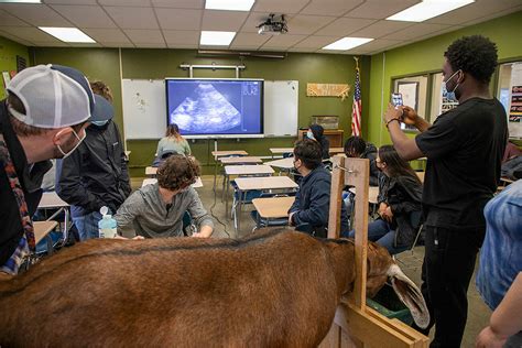 High school students prepare for college, careers with CTE courses ...