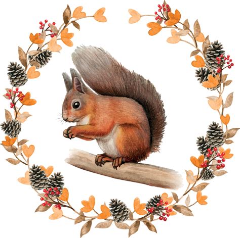 Watercolor realistic red squirrel in a fall wreath 3245113 Vector Art at Vecteezy