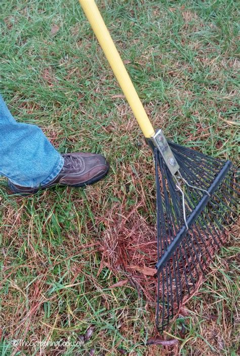 Early Spring Garden Projects - The Gardening Cook