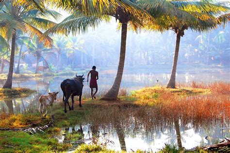 Kerala Gods Own Country Wallpapers - Wallpaper Cave